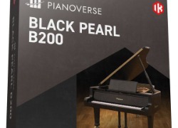 IK Multimedia Black Pearl B200
